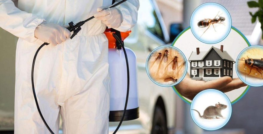 Niksar Böcek İlaçlama