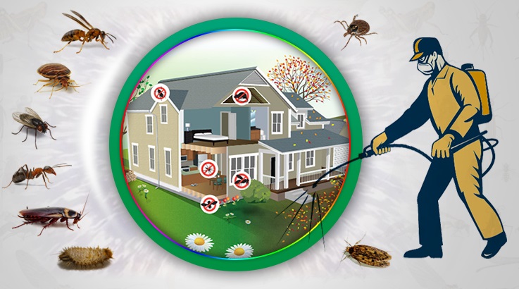 Niksar Böcek İlaçlama