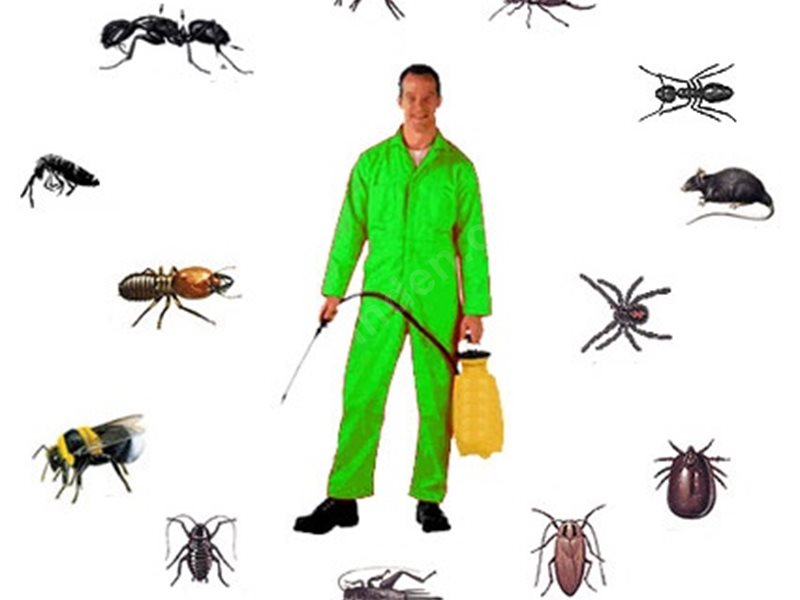 Niksar Böcek İlaçlama